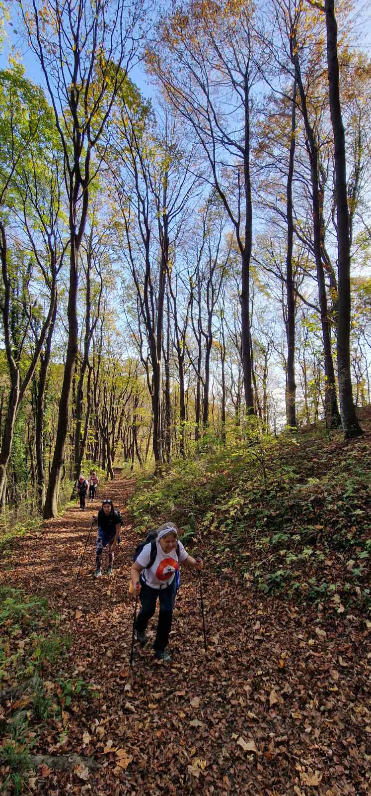 placeholder image-sq